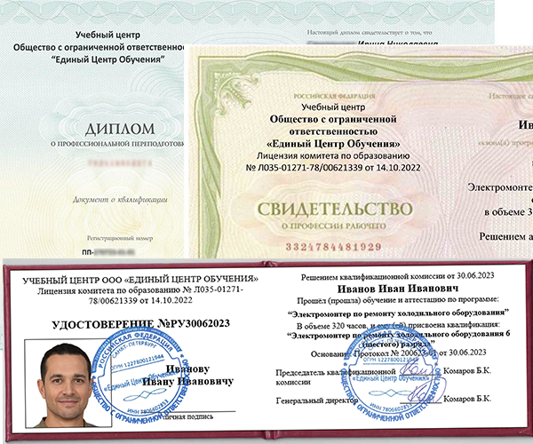 Выдаваемые документы